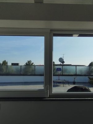 C.SO TASSONI pergola (2)